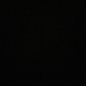 Meet your Posher, Logan